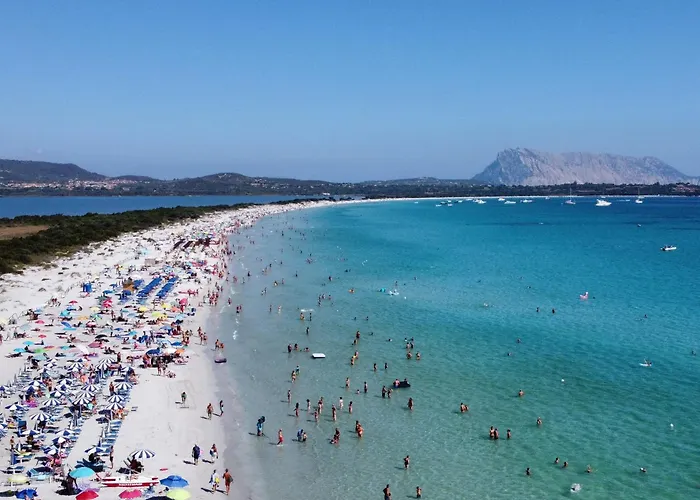 Q * سان تيودورو